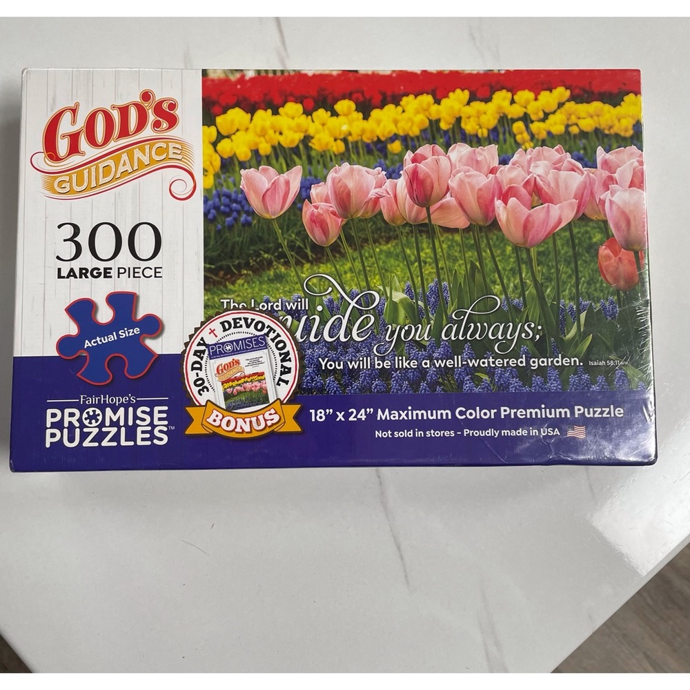 God's Guidance Promise 300 Large Piece Puzzle Sealed